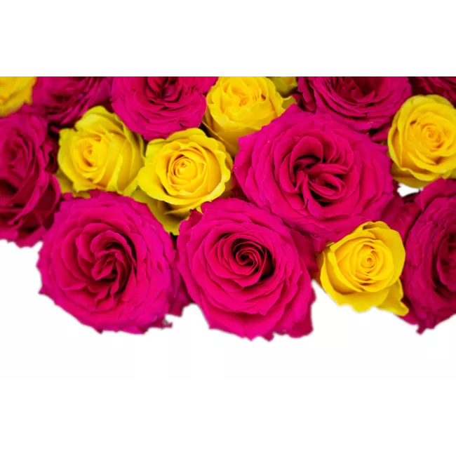 Bouquet of pink and yellow roses